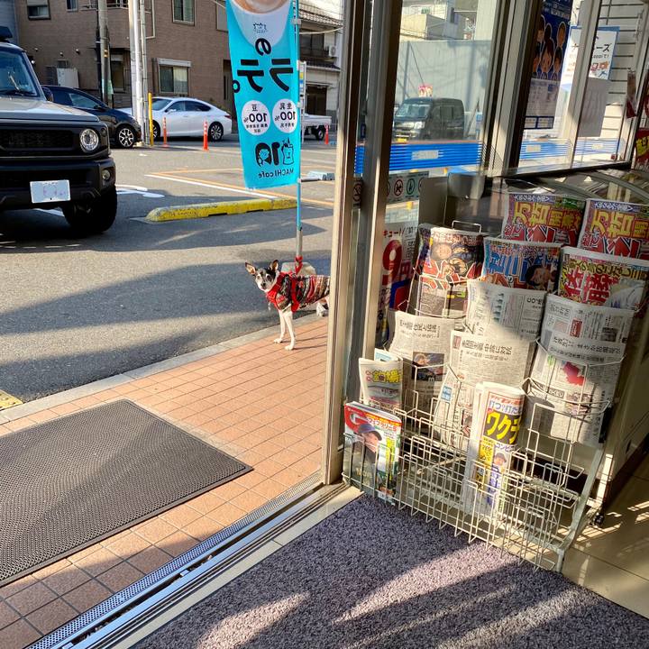 2daf2627 0934 49ed 989e ccfa840ae6cb 1613872317242