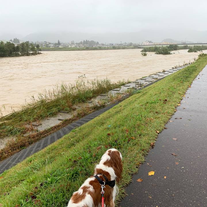 2daf36eb 3dde 4cb0 87b3 8cd1fc7c796c 1570955266654