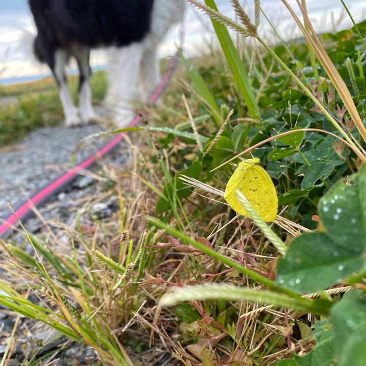 2daf52f7 c3d7 4d83 b4fe d508d06424fa 1634863977451