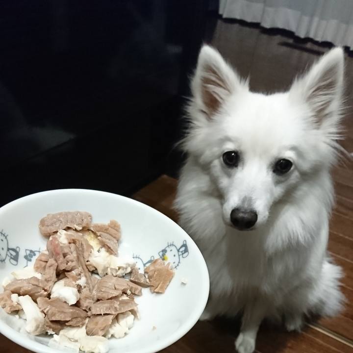 2daf6d3c ac62 4eba 8e46 30f68d08e804 1526043571890