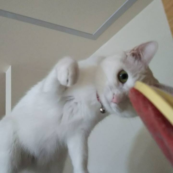 2dafb01c 8209 4a90 9ba1 74eb81784f62 1625389511064