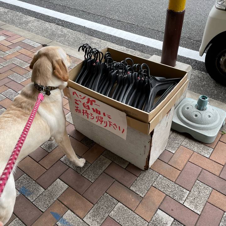 2dafb06e 495d 4712 9974 8a80d59792b2 1650697862688