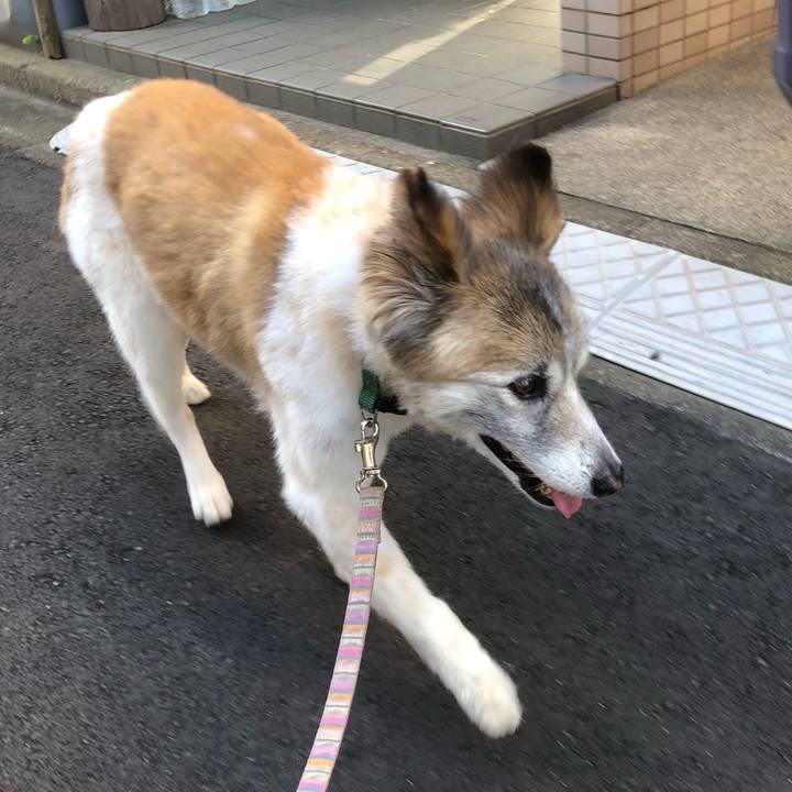 2dafb5d5 8819 436d ada8 a03ab8ce7056 1534466229866