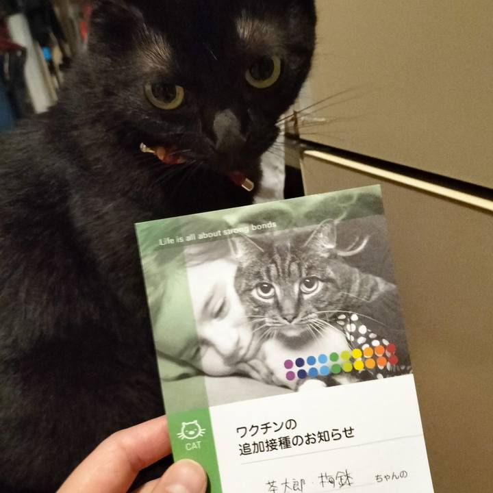 2dafed74 feb3 463d 8440 87d67d7ac14e 1666090659527