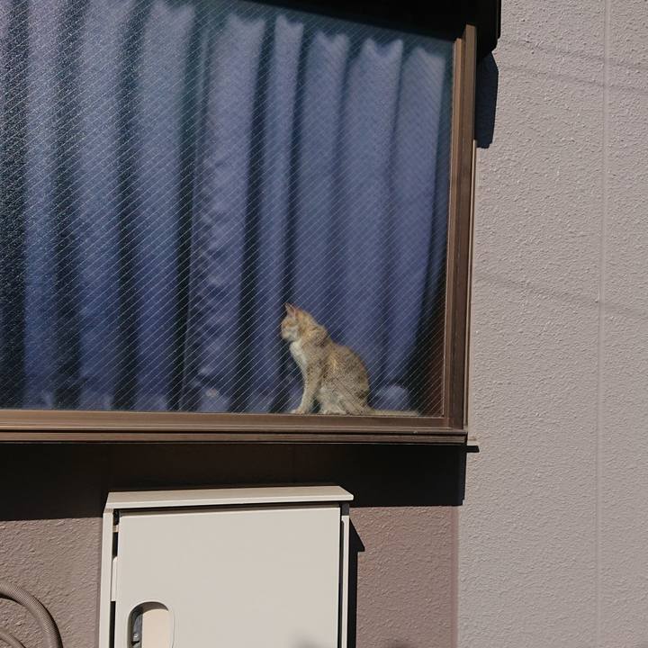 2db03f8f 1a67 4008 82f1 f1fbe2d149be 1550378665547