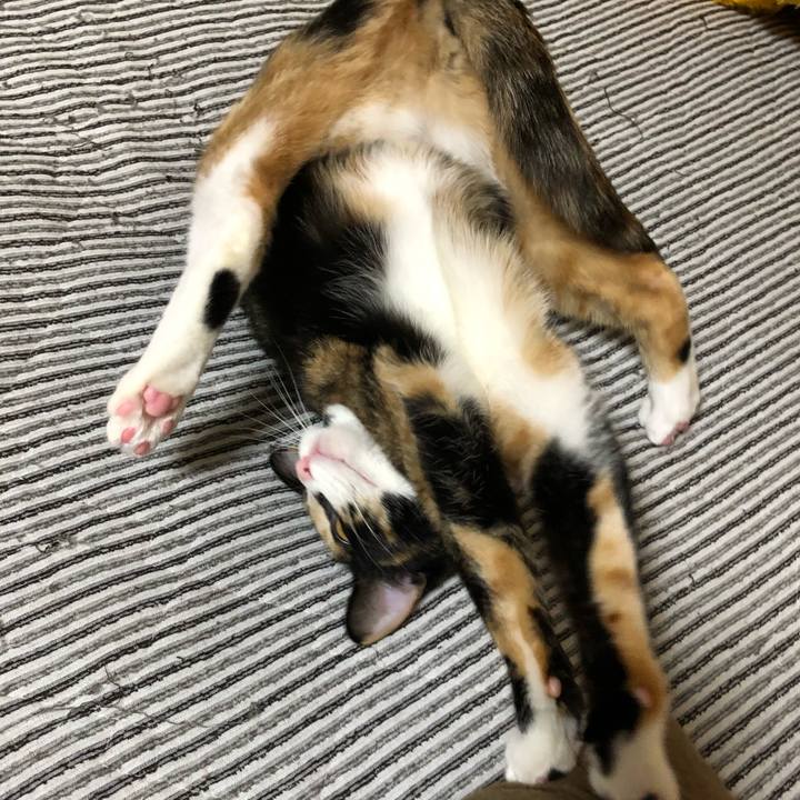 2db07548 3d77 476d b4af 6aa9d736178a 1559994428194