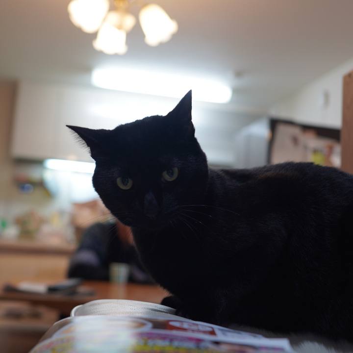 2db08dad 41f5 4750 b81a 90aceb0b41d7 1611754109539