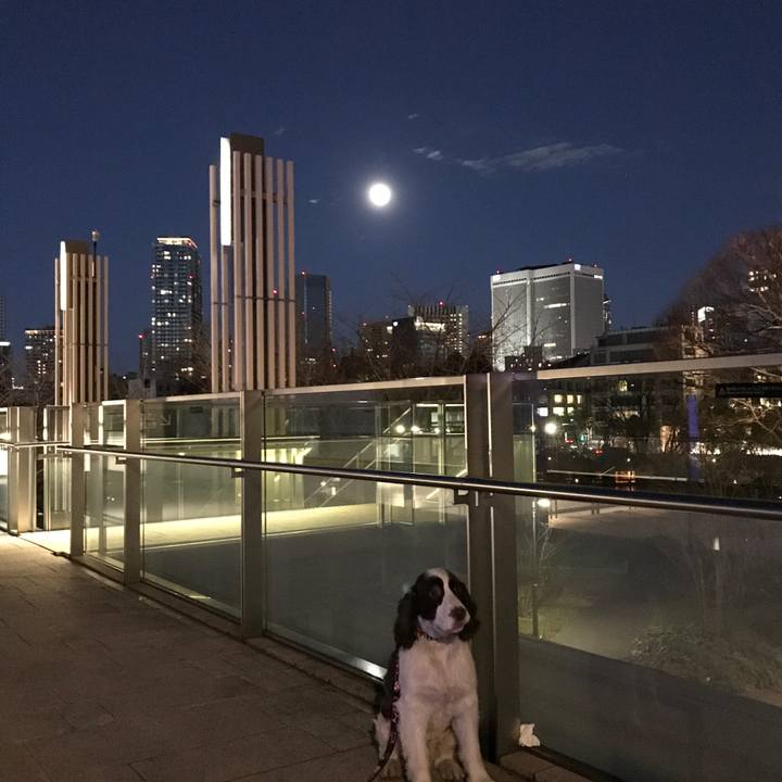 2db0eee6 41b2 4bcf b9f3 e4a3054c3a6e 1514860423275