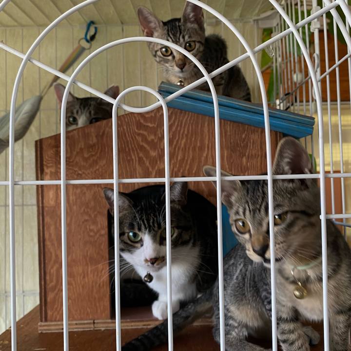 2db0f6bb b066 4687 901b e2a1f30f585e 1725084396673