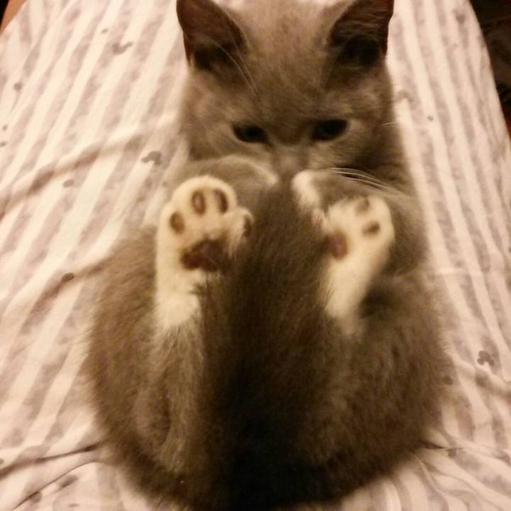 2db0f6e0 e113 4d83 bc80 020f4e57f140 1533181968912