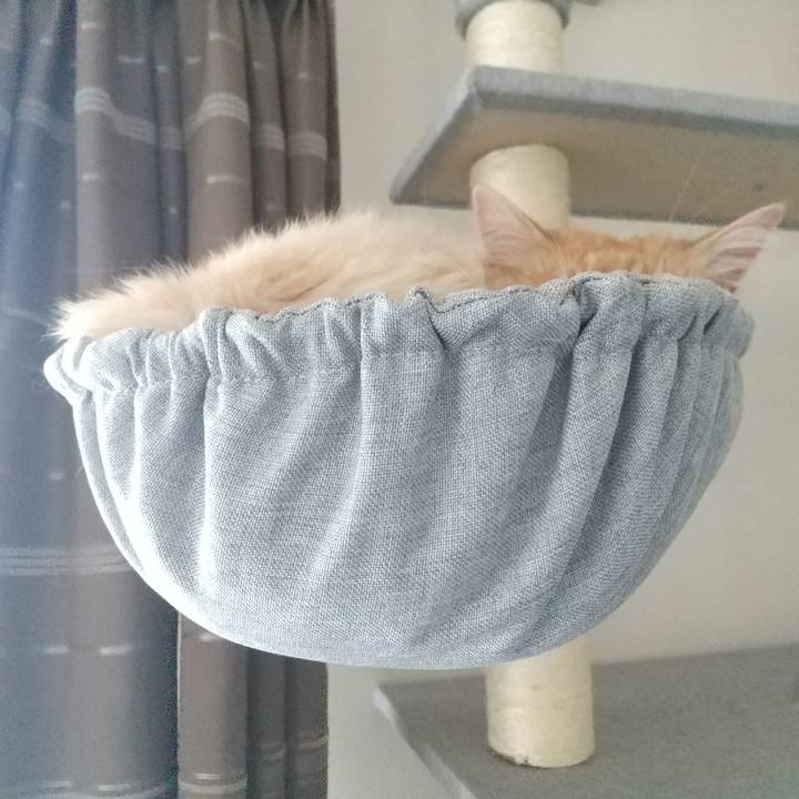 2db0f778 773d 4fa7 8840 7fc86c2e2ec0 1651636989259