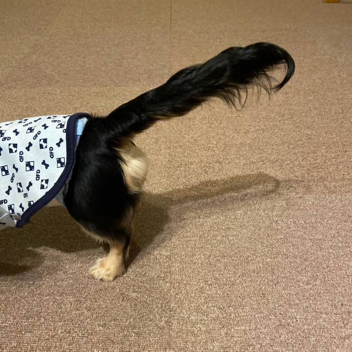 2db10b68 f9db 499b b649 d4f01da39881 1676241600833