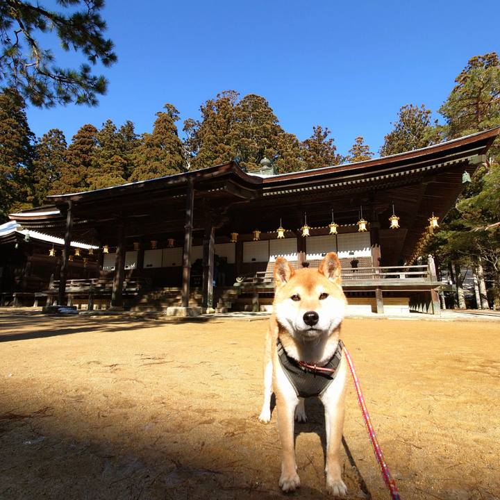 2db10fa1 1210 457a 852f bbda30df2fc8 1767091375561