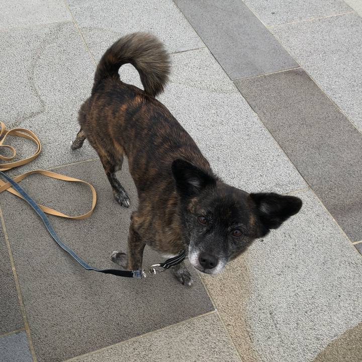 2db17385 9dea 4586 a45f 640b4d780015 1578309400987