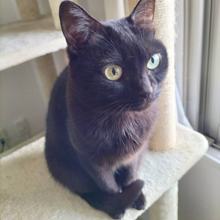 2db18193 8616 402d 9bde 7f6a2da4f0a8 1712445069367