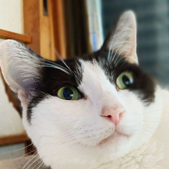 2db1afa0 4d2a 43d0 8d0c 360c69831d76 1599272311360