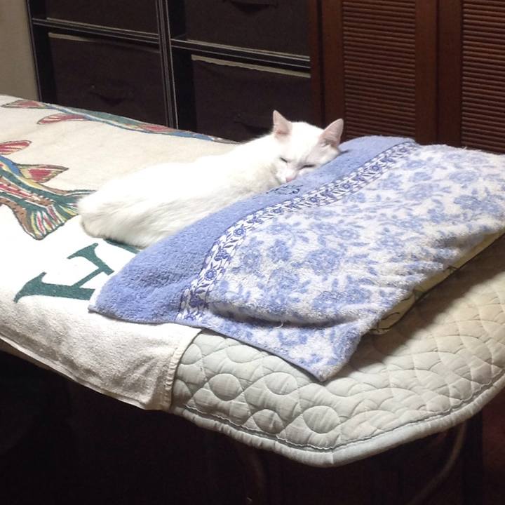 2db1ba73 0652 4f4e 981c e8b5a3877777 1628504680481