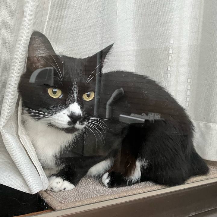 2db1de82 671a 4a9e a5c7 c1914618db9b 1694575782187