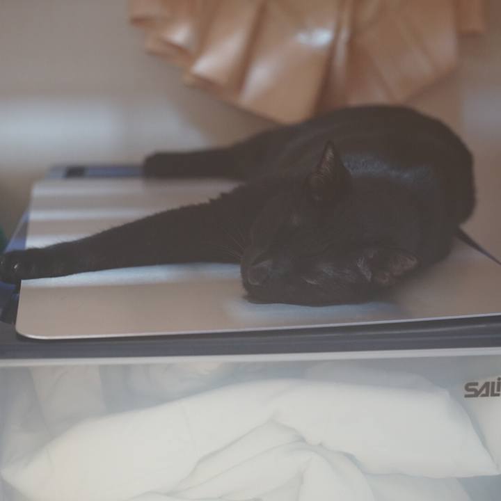 2db1f41d aa3f 4ae8 bb13 f9e82528317c 1531623207758