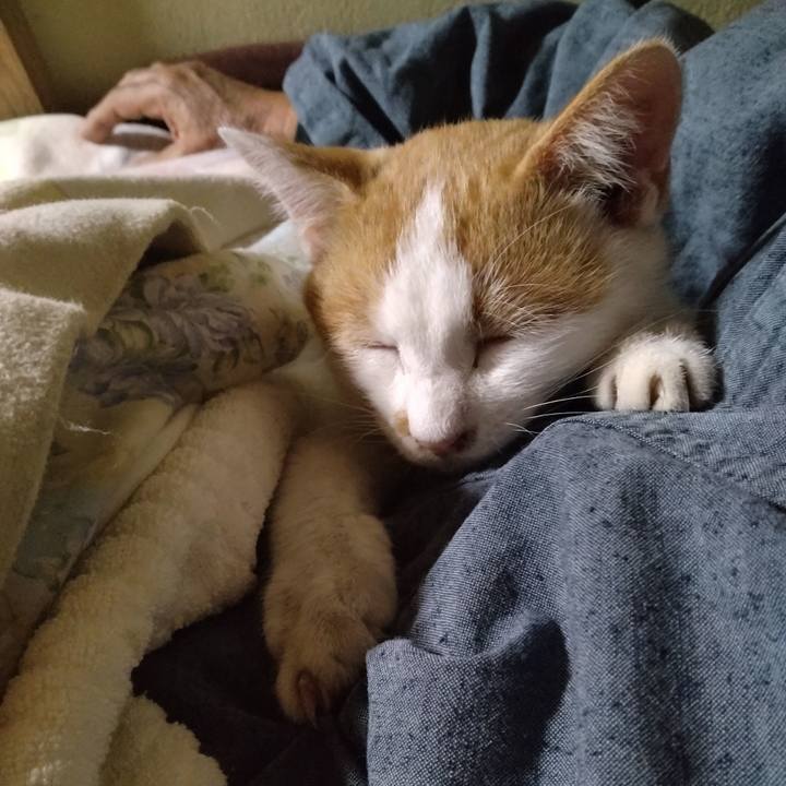 2db1ffd7 a9fc 4bcf 9acc 2660300ea1ec 1732883691810