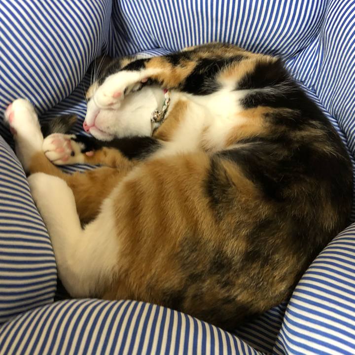 2db21700 971b 4027 acc8 11c58ff79ac7 1565268501469