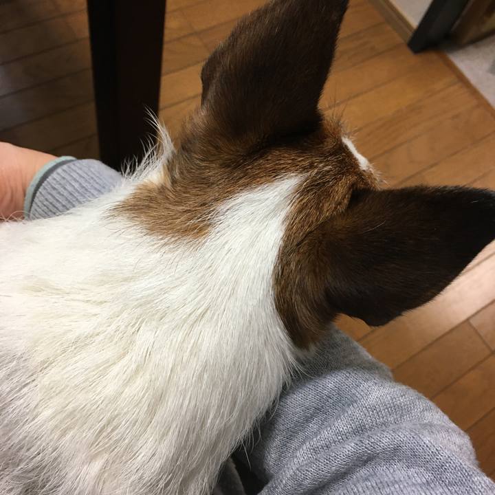 2db251db 5089 415a a576 79533d9426c0 1587511329175