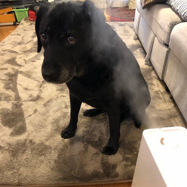 2db287f6 2939 4294 8112 19649f73425b 1554419188459