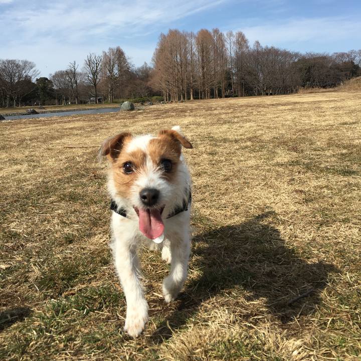 2db2b1e4 22ea 4f90 b5e6 fac93304870f 1549792246810