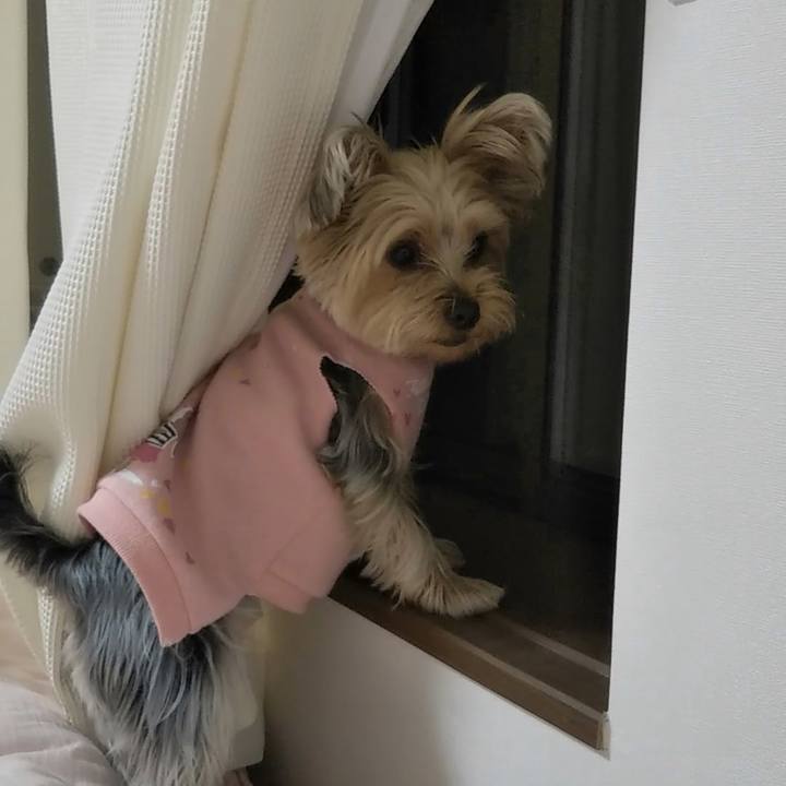 2db2d3b8 51ec 4712 aa42 d8049dcf9aac 1758778251194