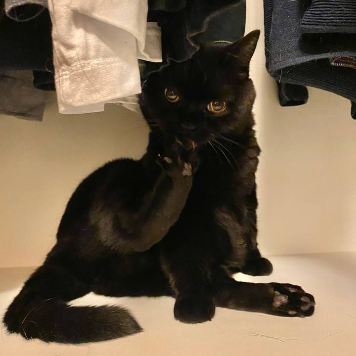 2db2e726 0c07 4b58 aedd 30dfe04a4ca6 1696423547174