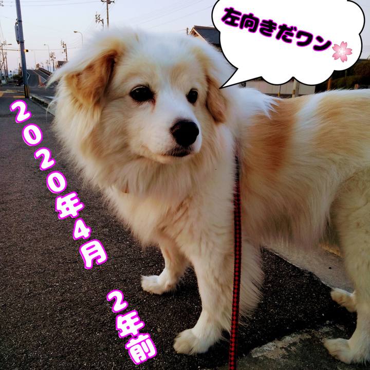 2db305be 57db 4068 b1f4 059902a8f9fc 1649933791373