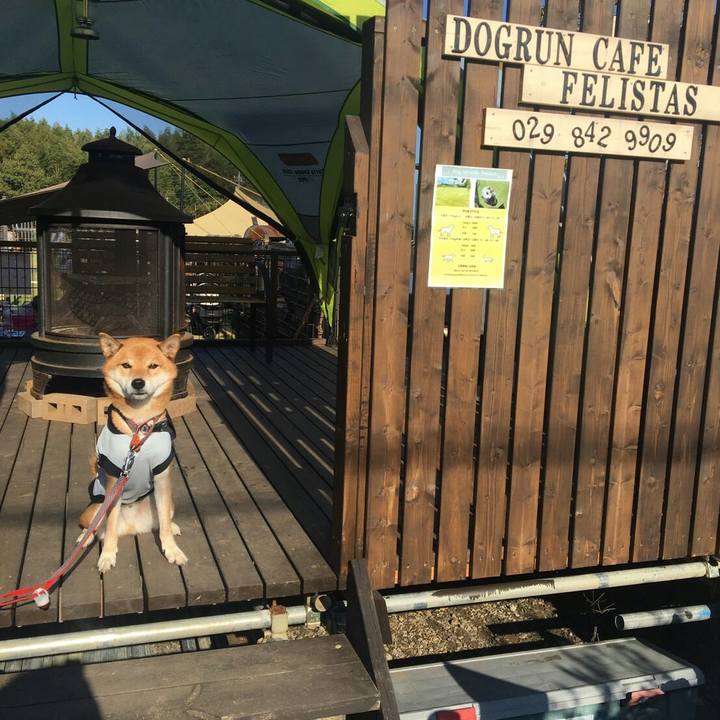 2db38554 053a 4816 ac3a d7d61fb96ac6 1573304065035