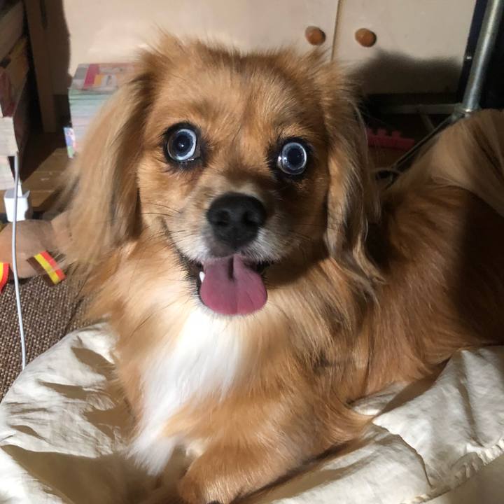 2db38eb2 fc80 4d48 97da 0a704e69e565 1537349920483