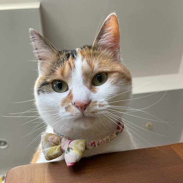 2db39642 0ea5 459a 8b16 c630c943b45d 1650324712231