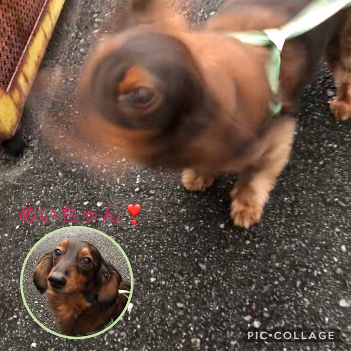 2db3b492 9f58 4069 8fd5 7b75687c07e1 1575794322459