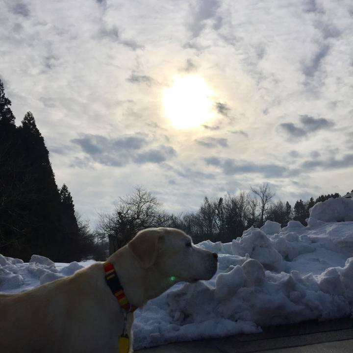 2db3bc91 b0f3 46b8 b48e ec830e51d3a1 1516260920474