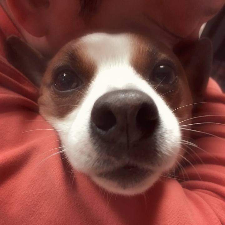 2db3e403 e1b7 4aaa bc5c 7c03c350b8f1 1518010425232