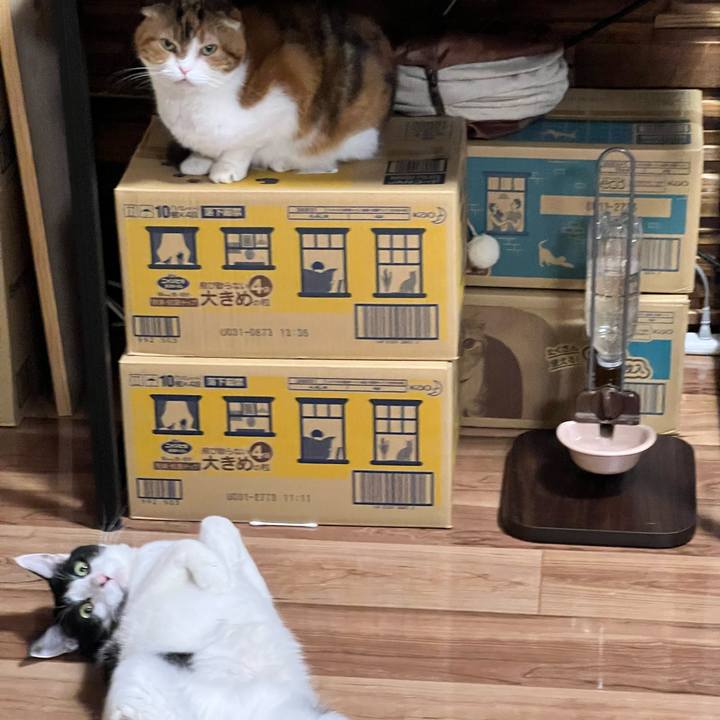 2db3f8d6 d1ef 4b6b a14c c491d0588a68 1701439729692