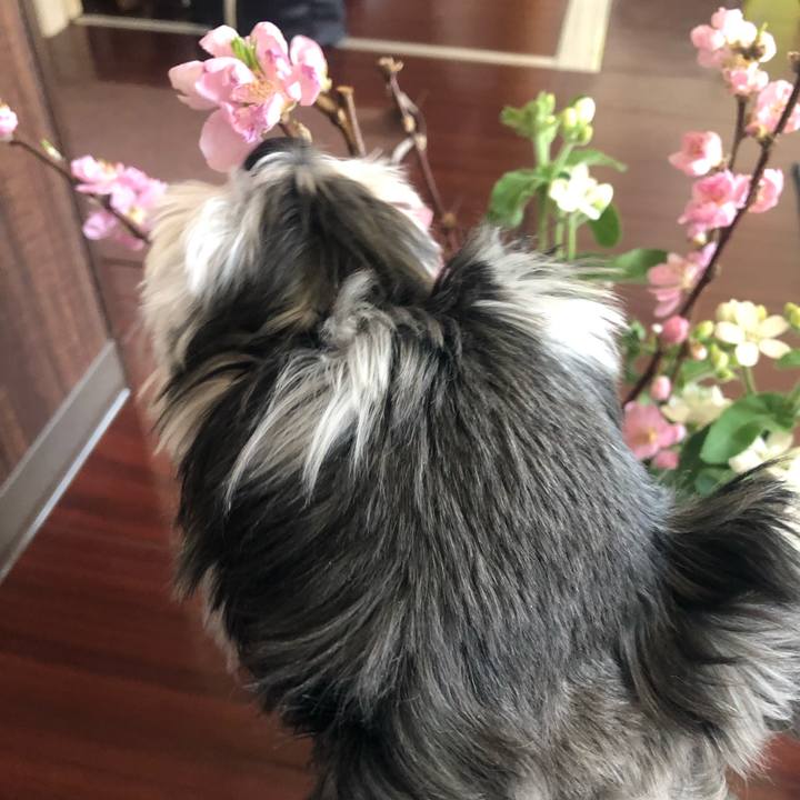 2db41c5c a8d0 49b3 b9aa a24b3f0dba6a 1645836837752