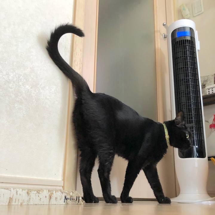 2db43337 667a 4865 95e6 9b8f8fcf7626 1535465387867