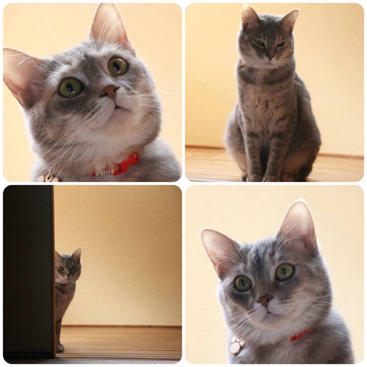 2db46ab0 61b0 4dbc b98d 706110e0db28 1558081152813