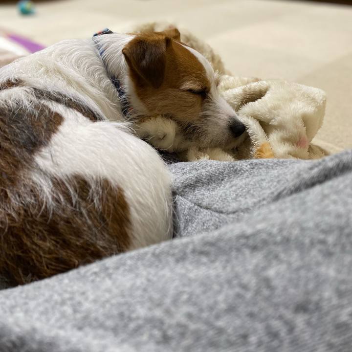 2db46d23 e37a 4df9 ab09 3a0dab97fbd8 1705714046257