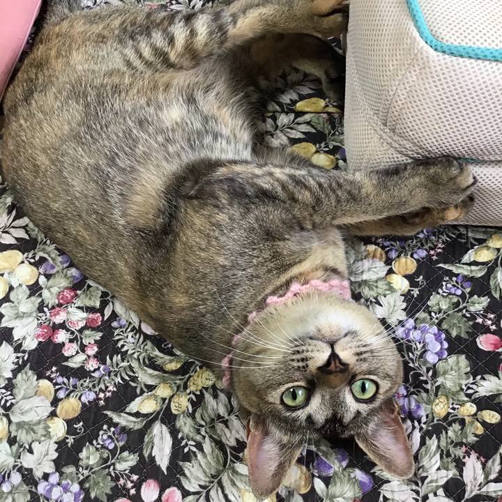 2db47361 5a2a 4606 9181 63b01929bbe7 1591061053336