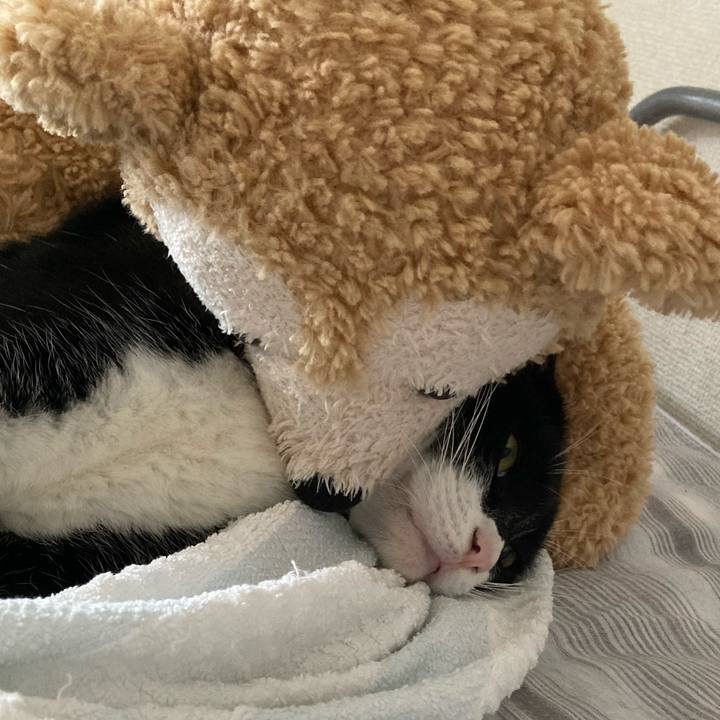 2db48e9e 9230 4c7c 9b16 2b3427987966 1632637789131