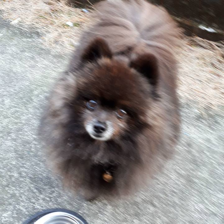 2db4a80b d1d9 4785 a2d3 14a39e5e97f7 1521842466909