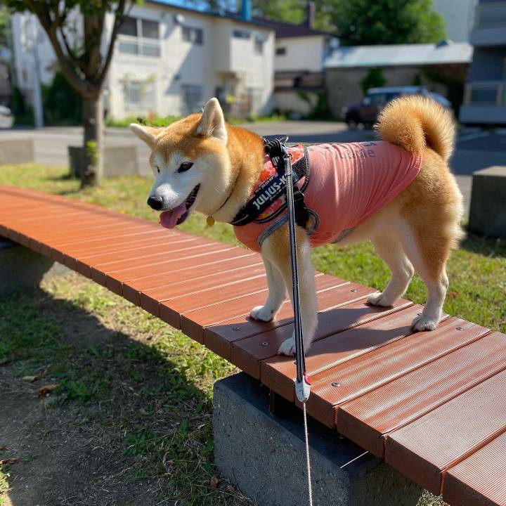 2db4c694 c16b 4bb7 b926 8f7f2de02bad 1657506300723