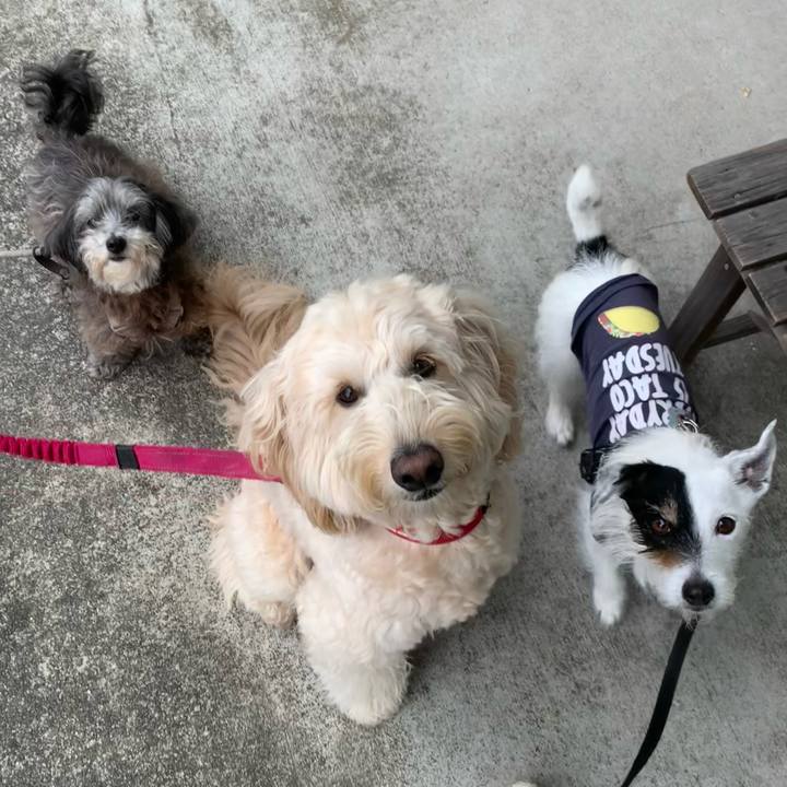 2db50a0b f605 4e06 b0c1 0975a0bc32c7 1748307526879