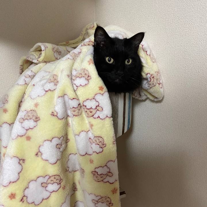 2db517ec d84f 4411 b96f 1d15db629495 1604875481526