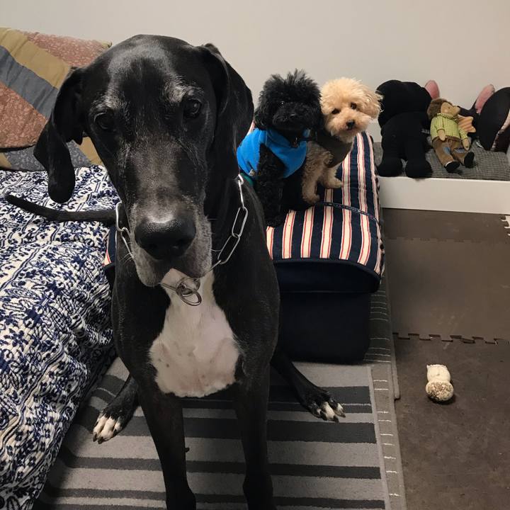 2db52821 43ed 4647 a466 2747c9fa6ba1 1544397706161