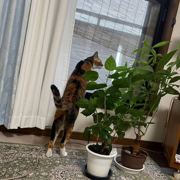 2db535b9 cb0f 4123 bc74 bd9bc8a232fa 1758413332942